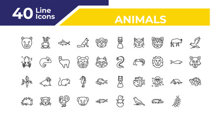 outline animals icons set - squid, wolf, turtle. editable vector for web and mobile ui © IconArt