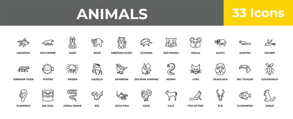 outline animals icons set - spider, big owl, sable. editable vector for web and mobile ui © IconArt