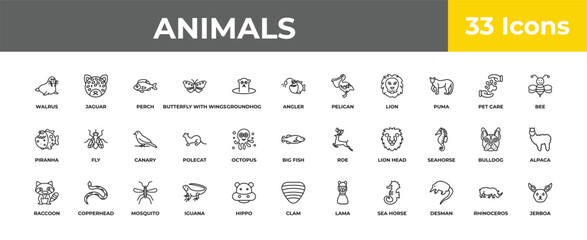 outline animals icons set - canary, copperhead, jerboa. editable vector for web and mobile ui © IconArt