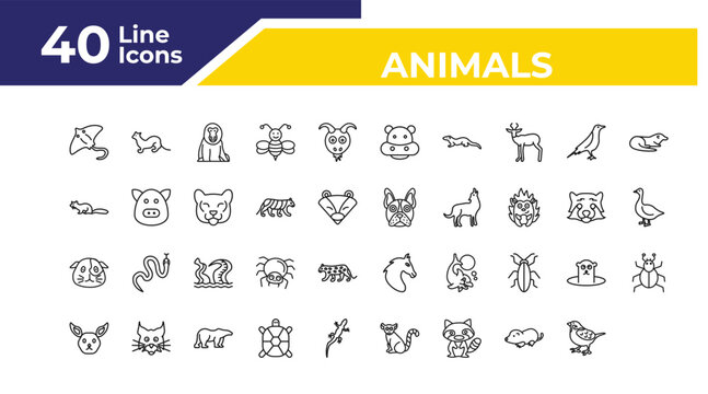 outline animals icons set - otter, goose, mite. editable vector for web and mobile ui