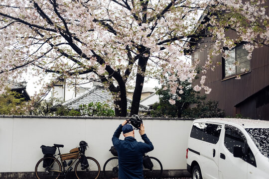 Cycling in Japan when the cherry blossoms are in bloom