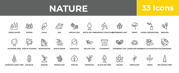 outline nature icons set - mountain pse, led bulb, red spruce tree. editable vector for web and mobile ui © IconArt