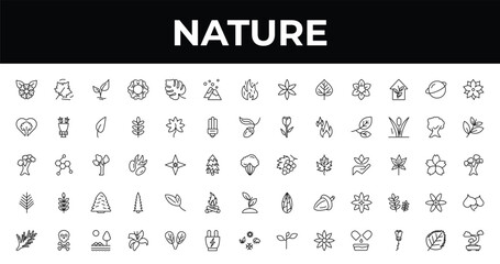 outline nature icons set - snowed mountains, black willow, lily. editable vector for web and mobile ui © IconArt