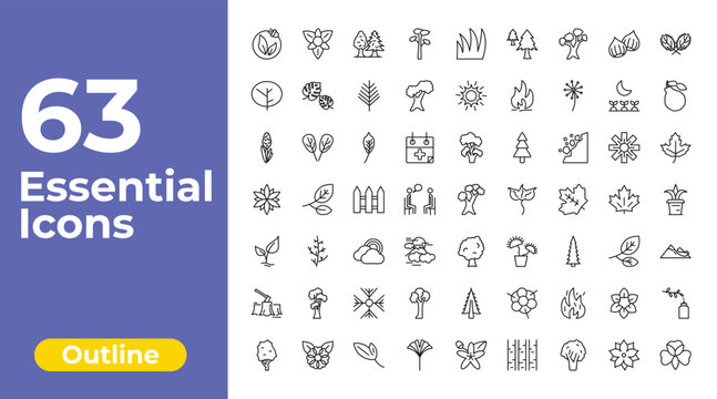 outline nature icons set - pitch pine tree, shining sun with rays, floral decorations. editable vector for web and mobile ui