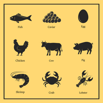 Meat & Fish Icons. Protein & Seafood. Vector illustration. 
