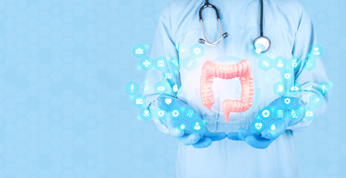 Colorectal surgeon demonstrates the function of the large intestine. Detailed evaluation for early screening and preventative diagnosis of digestive health. Professional clinical consultation. Isolate