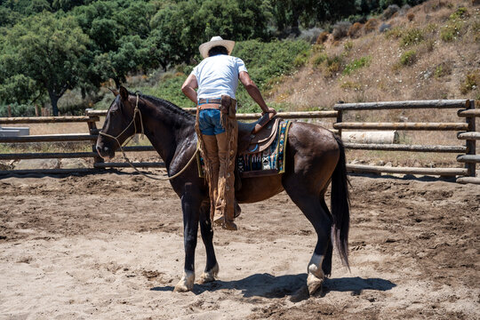 Cowboy Mounting Untamed Horse At Andalusian Ranch