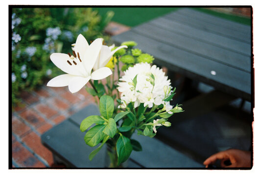 Lilies on a bench