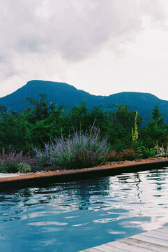 Mountain Pool with Wildflowers in Northern Italy Film Photo 