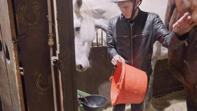 Trainer feeds brown horse in stable, helmeted rider pours orange bucket into black bowl while white companion watches, trainer pats neck and guides muzzle, warm sunlight on wooden stall, calm