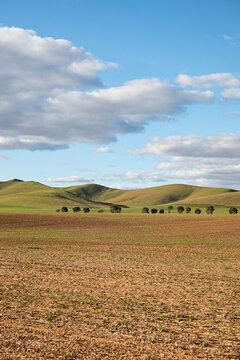 Rolling green hills in a country agricultural setting in Australia