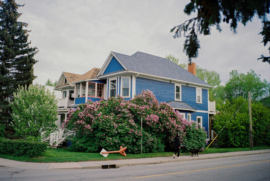 Pedestrian crossing in cozy suburb in Calgary, Canada 