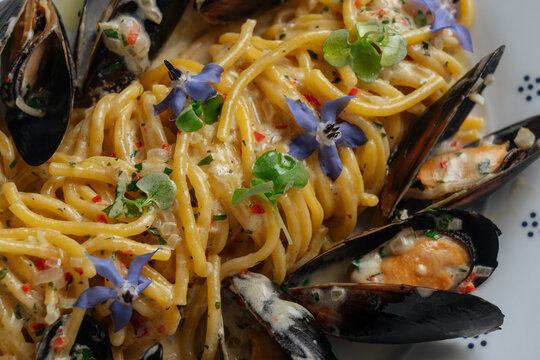 Close-up of spaghetti with mussels and sauce
