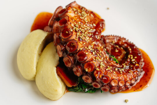 Close-up of grilled octopus with mashed potatoes and sauce