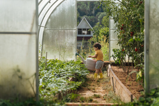 Child watering plants inside a greenhouse garden
