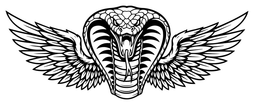 Winged cobra snake mascot logo, fierce serpent with wings illustration for tattoo, gaming or motorcycle club emblem