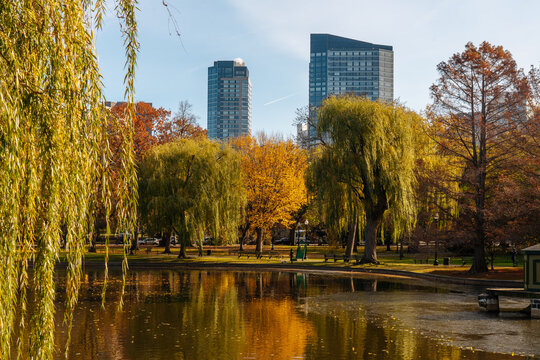 Autumn trees and city skyline reflected in park pond in Boston