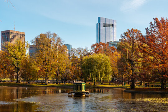 Autumn Trees Around City Park Pond