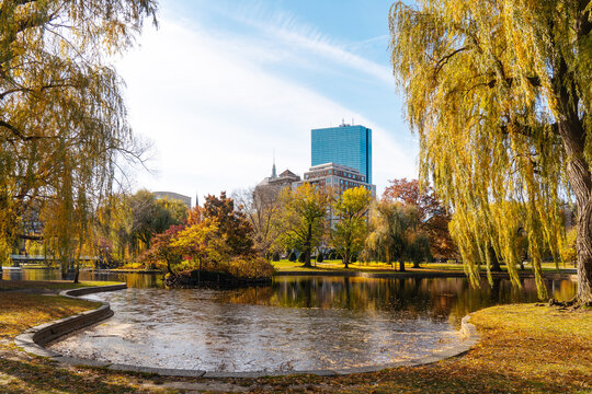 Autumn city park with pond and skyline view in Boston
