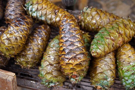 Closeup of fresh roasted pine cones