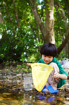 Chinese boy is catching fish with a net by a stream in the woods.