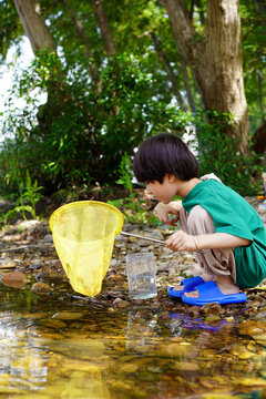 Chinese boy is catching fish with a net by a stream in the woods.