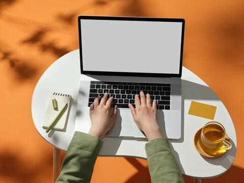 Working from home on a laptop with a tea break in the sunshine.