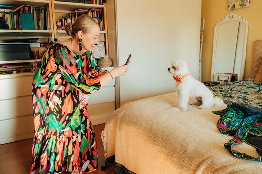 Woman photographing small dog with smartphone at home