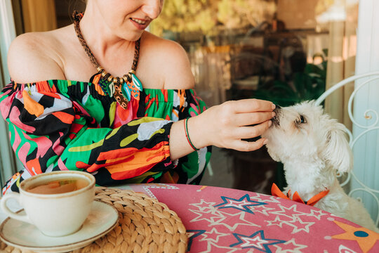 Woman feeding small dog treat during balcony tea time