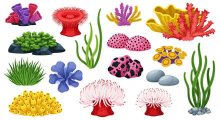 Coral reef, sea anemones, ocean plants, aquatic flowers, vector set © Umar Arts