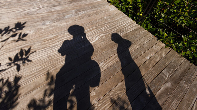 Shadows of a couple on a wooden bridge surrounded by palm trees 