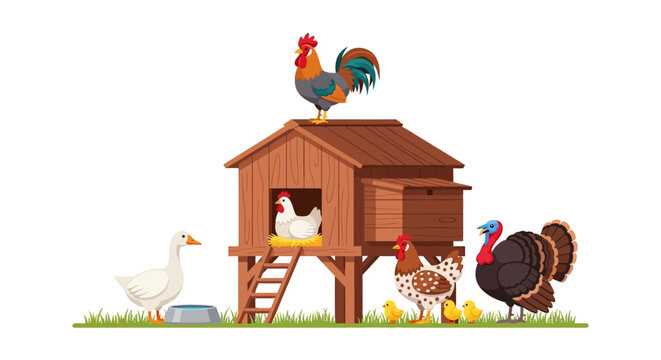 Farm animals, rooster, henhouse, poultry, farmhouse, rural scene, vector illustration