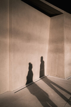 Pedestrian Shadows