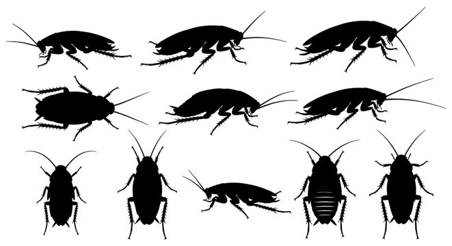 Cockroach silhouettes, black insect icons, bug vector set, pest control illustrations