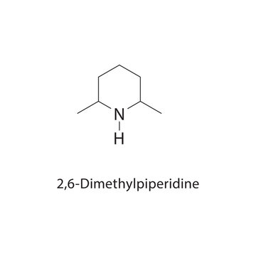 2,6-Dimethylpiperidine skeletal structure. amine compound schematic illustration. Simple diagram, chemical formula.