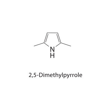 2,5-Dimethylpyrrole skeletal structure. pyrrole compound schematic illustration. Simple diagram, chemical formula.