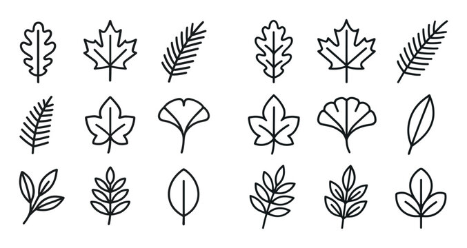 Nature icons with maple oak ginkgo leaves outline