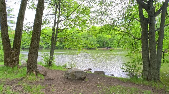 Alders and willows grow on the grassy shores of the lake. There is a boulders near the beach. On the far shore there is a park with trees, paths and benches. Ripples on the water in cloudy spring