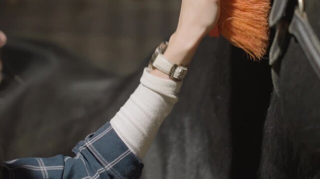 Caucasian owner bonding with black horse in cozy stable at dusk, slow brushing with orange brush across neck, gentle wrist strokes, soft glow and quiet atmosphere, emotional connection and calming