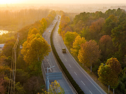 Aerial View of Road Through Autumn Forest at Sunrise

