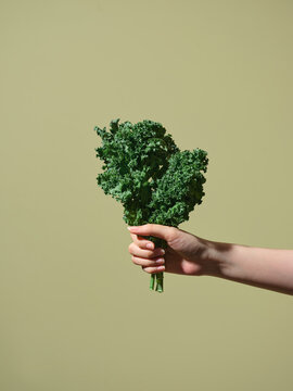 Hand holding a fresh bunch of kale on a solid green background. 