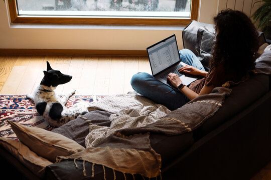 Cozy Home Office With Laptop And Dog