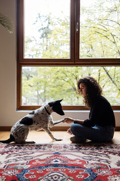 Woman And Dog Share Gentle Handshake Moment Indoors