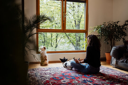 Woman With Dogs Relaxing By Large Window