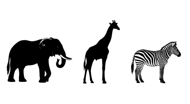 Collection of African animal silhouettes including elephant giraffe and zebra isolated on a white background for safari or wildlife concepts