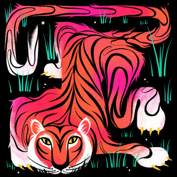 Tiger waits in the long grass at night