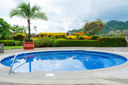 Small swimming pool surrounded by lush tropical plants.