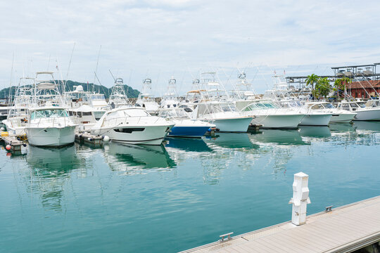 White luxury yachts docked in a row at a marina.