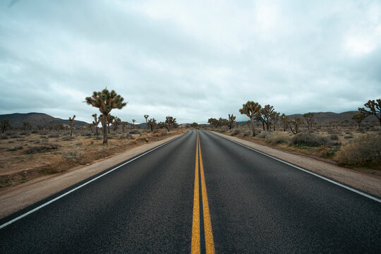 Road through desert landscape
