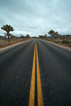 Open road in desert landscape
